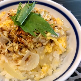 【火不要で100円以下丼】食べればカツ丼